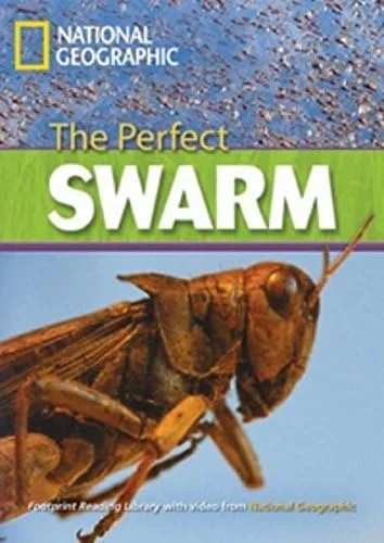 Обкладинка: NG The perfect Swarm with MULTI-ROM Level 3000